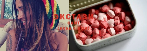 сатива Аркадак