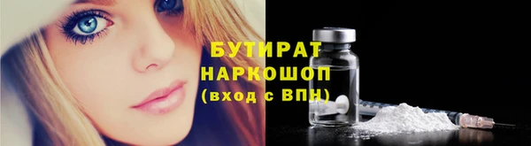 сатива Аркадак