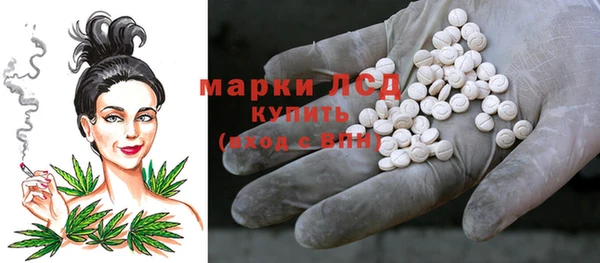 сатива Аркадак