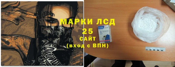 сатива Аркадак